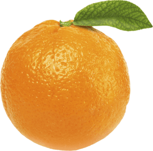 purepng.com orange orangeorangefruitbitter orangeorangesclip art 17015273373713wgvk